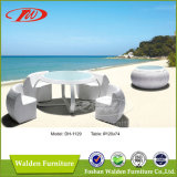 Outdoor Furniture Dining Table and Chair (DH-1129)