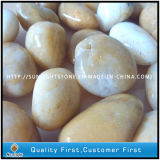 Natural Polished White Yellow Pebble Stone for Garden Decoration