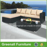 Simple Combination Sale Outdoor Rattan Furniture (GN-9066-2S)