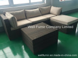 Sectional Sofa Set /Wicker Furniture/Rattan Furniture/Outdoor Furniture