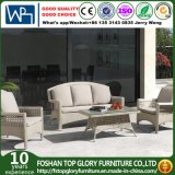 Outdoor Rattan Sofa Furniture Garden Sets Rattan Sofa (TG-1398)