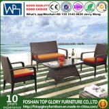 PE Rattan & Aluminum Furniture for Outdoor Sofa (TG-1300)