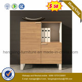 Hot Sale Tempered Glass Frosted Glass Cabinet (HX-6M280)
