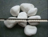 White River Stone Pebbles / Cobble Stone