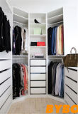 High Quality Modern Lacquer Customized Wardrobe (BY-W-110)