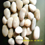 Top High Quality White River Stone