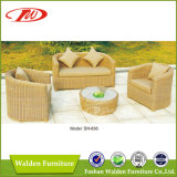 Outdoor Furniture Rattan Furniture Dh-836