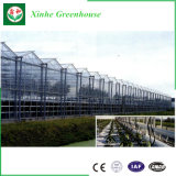Glass Greenhouse Prefabricated Garden Greenhouses Greenhouse Design Garden Used Greenhouses for Sale