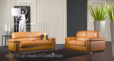 Special Classical Hot Selling Genuine Leather Sofa 1+2+3 (S-2995)