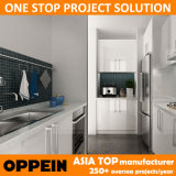 Oppein Modular Australia Project Built-in Lacquer Wooden Kitchen Cabinet (OP14-L02)