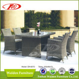 Luxury Rattan Dining Set/Outdoor Dining Table (DH-6073)