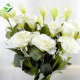 Eustoma Russellianum Artificial Flower Wholesale for Decoration