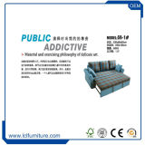 High Quality Multi-Function Folding Sofa Bed with Bedmetal Tube Bed Frame