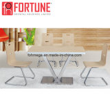 Modern Wood Special Legs Chairs for Restaurant/Coffee Shop/Canteen (FOH-BC13)