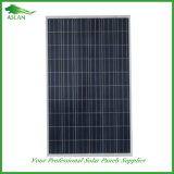 Top Quality Low Price Solar Panel Mono and Poly