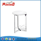 Modern Design Stainless Steel Frame PP Top Chair