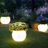 Illuminate Vase LED Flower Pots RGB Vase Light
