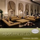 High Quality Living Room Leather Sofa (B1)