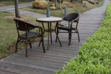 Garden Furniture Bistro Chair & Table Set HS30119c&HS20077dt