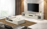 High Gloss Furniture Functional TV Stand (DS-2020)