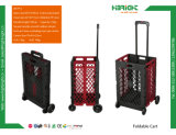 Foldable Plastic Pack and Roll Shopping Cart with Hole