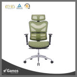 Ergonomic Mesh Office Chair for Office Staff and Client