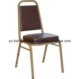 Steel Leather Chair (YC-ZG39)