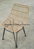 Cane Makes up Chair Metal Chairs Outdoor Plastic Rattan Cane Porch Furniture Wholesale Deck Chairs (M-X3549)