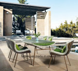 Modern Design Outdoor Garden Furniture Rattan Dining Set with Table & Chair by 6&8 Person Set (YT896-1)