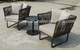 Hand-Woven Garden Furniture/Leisure Sofa Set/Outdoor Furniture (BP-260)