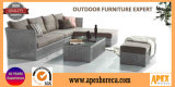 Outdoor Furniture Rattan Sofa Garden Furniture AC1301