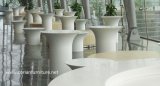 Corian Furniture Hotel Lobby Tables