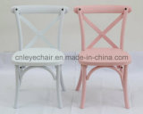 Resin/Plastic Home Chair/Dining Chair for Children