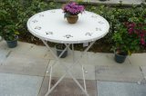 Lovely Rose Design Metal Outdoor Foldable Table & Chair