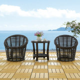 Outdoor Garden Small Set Furniture Coffee Chair & Table by Woven Rattan with Aluminum Frame (YT629)