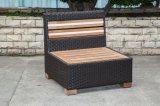 Teak Wicker/Rattan Sofa for Outdoor Furniture (LN-3001-1)