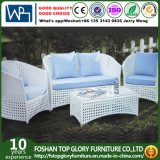 Rattan Garden Outdoor Artificial Wicker Sofa (TG-1261)