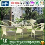 PE Rattan Furniture Outdoor Wicker Furniture Dining Set (TG-578)