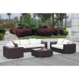 Commercial Outdoor Rattan Sofa Set (WS-06015)