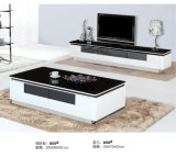 Europe Style Living Room Furniture Set (A610)