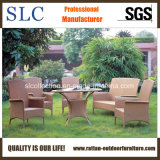 Poly Rattan Garden Furniture/ Outdoor Garden Furniture (SC-B1013)