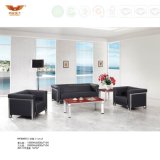 Office Set Designs Leather Sofa with Metal Legs (HY-S6013)