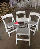 Competitive Price Outdoor Folding Plastic Chair