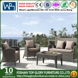 Outdoor Rattan Furniture Garden Sofa and Tea Table Set (TG-1399)