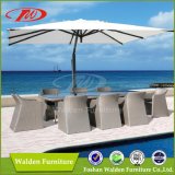 Outdoor Furniture, Garden Furniture (DH-9721)