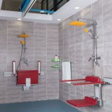 Rehabilitation Bathroom Stainless Steel Wall Mount Shower Seats for The Elderly