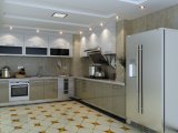 Stainless Steel Kitchen Cabinets for Waterproof Kitchen Furniture (BR-SP004)