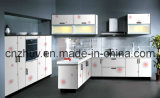 Kitchen Cabinet of Color Painting UV Board and Wardrobe Cabinets Door (ZH-C868)
