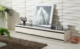Living Room Furniture Modern MDF and Glass TV Stand (DS-147)