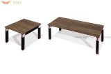 Stainless Steel Frame Wooden Top Coffee Table for Office (HY-C20)